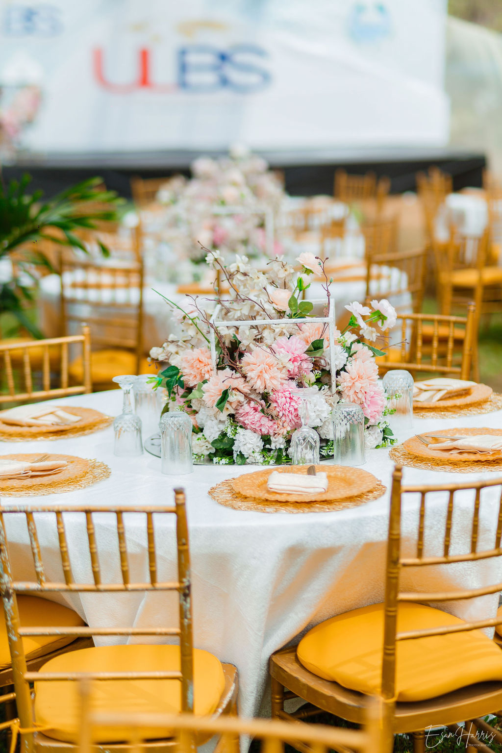 rectangular Elegant centerpiece with full floral arrangement with white, peach, pink glass base, charger plates, menu card, glass cups, gold chivalry chairs with gold foam