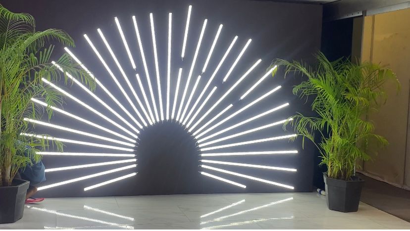indoor event photo area, led wall with plants for corporate events